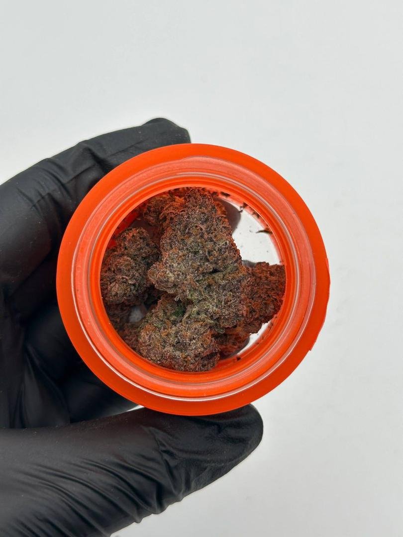 SHERBINSKI EXOTIC FLOWER 🍊🍭