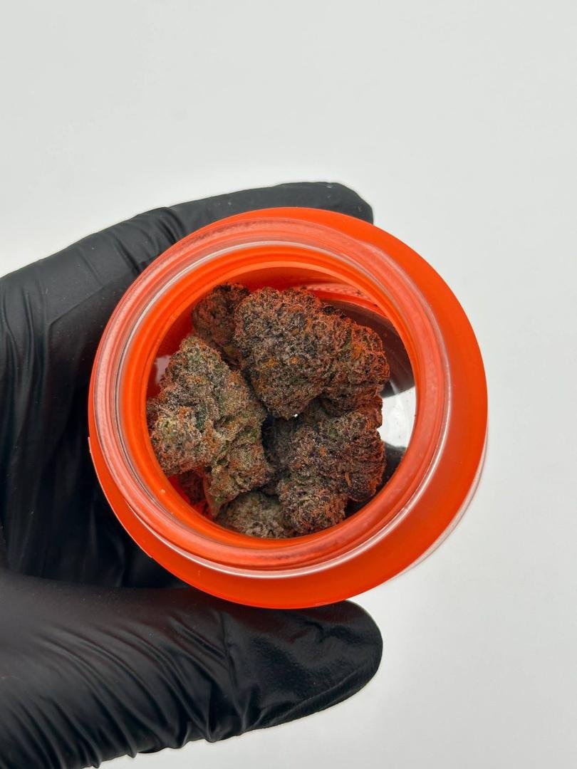 SHERBINSKI EXOTIC FLOWER 🍊🍭