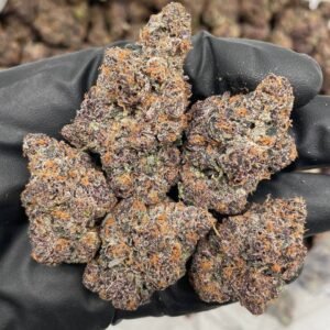 FRUIT BY THE FOOT INDOORS 🍒🍓