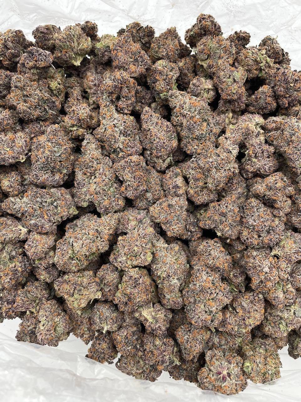 FRUIT BY THE FOOT INDOORS 🍒🍓