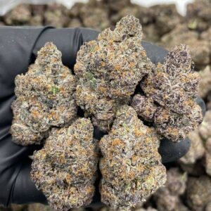 Razzberry Pop Rocks — Indoor