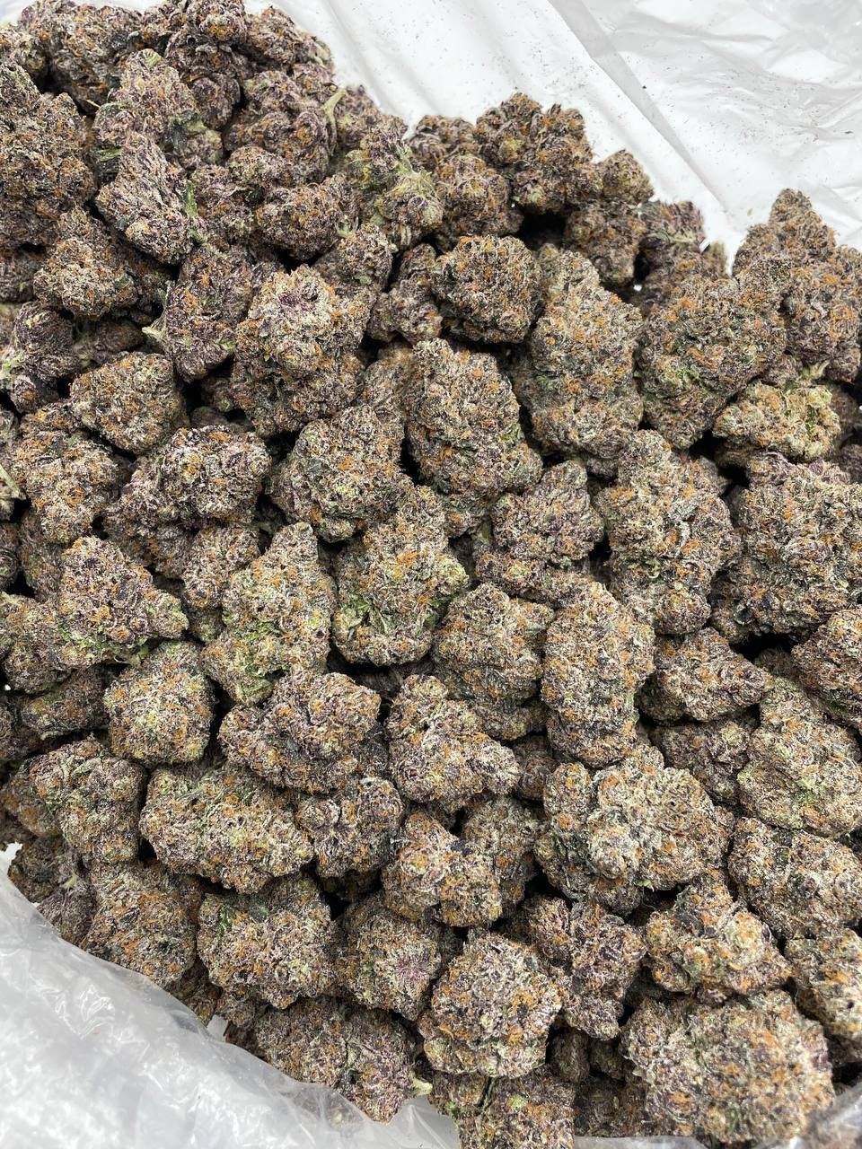 Razzberry Pop Rocks — Indoor