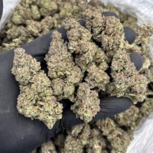 Hooch — Indoor-grown