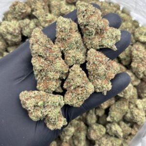 KK Sherb — Indoor-grown