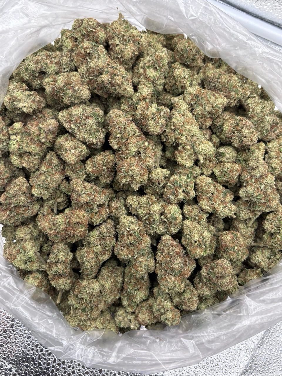 KK Sherb — Indoor-grown